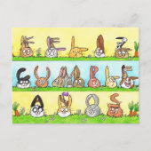 Verjaardagskaart voor Bunnies Briefkaart (Voorkant)