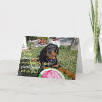 Verjaardagskaart voor een drukke Rottweiler-puppy