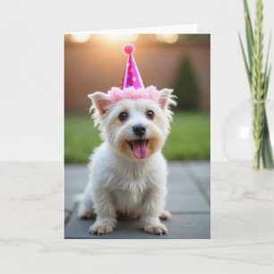 Verjaardagskaart voor een lieve witte hond kaart