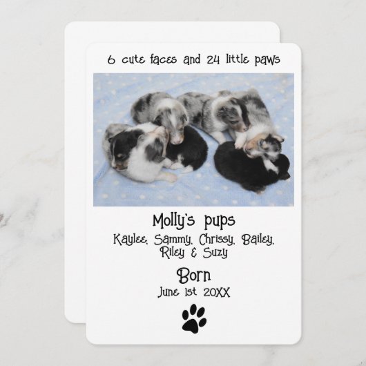 Verjaardagskaart voor een malse puppy (Voorkant / Achterkant)