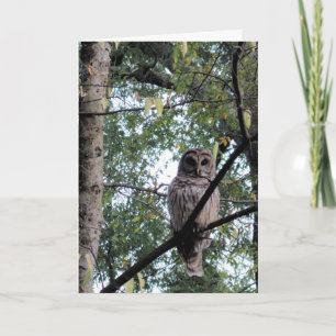 Verjaardagskaart voor een taaie oude vogel kaart
