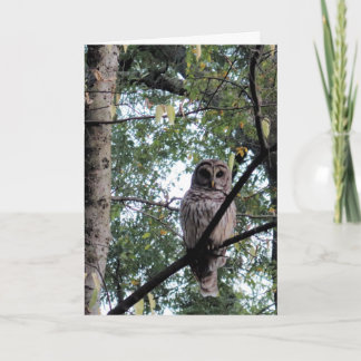 Verjaardagskaart voor een taaie oude vogel kaart