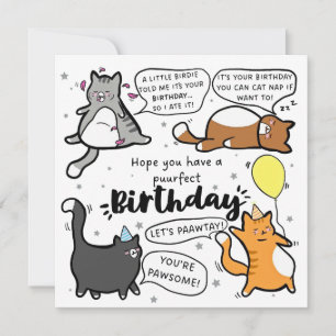 Verjaardagskaart voor kattenliefhebbers kaart
