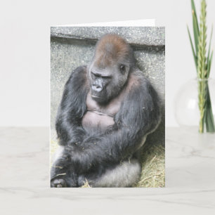 Verjaardagskaart voor knappe man aankondiging