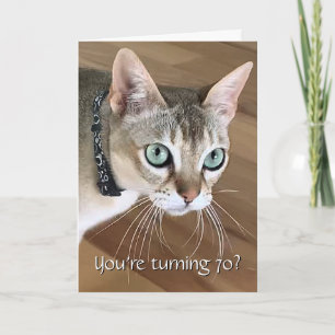 Verjaardagskaart voor nieuwsgierige kat 70 jaar kaart