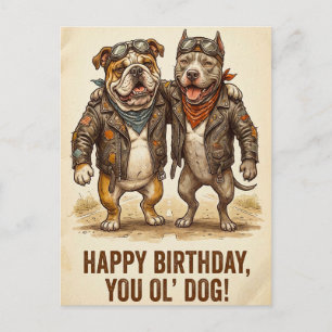 Verjaardagskaart voor ouwe hond briefkaart