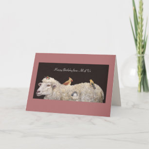 verjaardagskaart voor schapen kaart