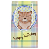 verjaardagskat op vleid klein cadeauzakje (Voorkant)