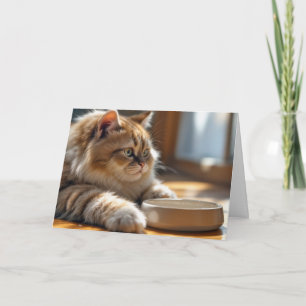 Verjaardagskat Wachten Bij Een Lege Eetbak Kaart