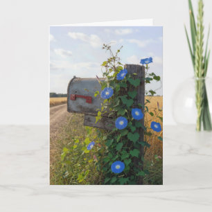 Verjaardagslandpostbus met Morgenwinde Kaart