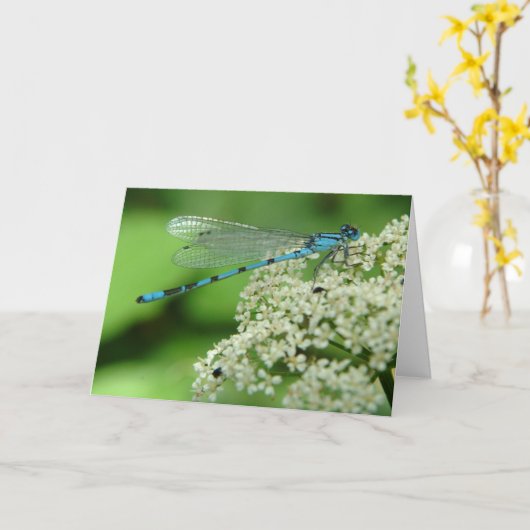 verjaardagslibel kaart (Gele Bloem)