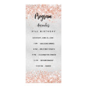Verjaardagsprogramma Menu zilver roos gouden confe (Voorkant)