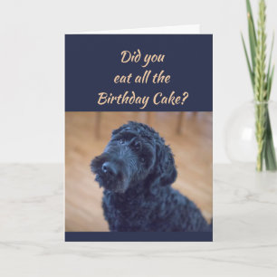Verjaardagstaart Humor Schattige Black Curly Dog P Kaart