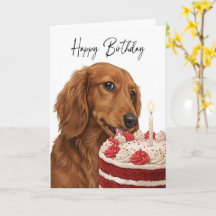 Verjaardagstaartinspecteur voor Dachshund