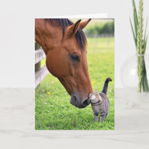 Verjaardagsvrienden Paard met tabbykat Kaart