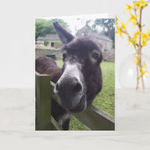 Verjaardagswensen voor ezels kaart (Gele Bloem)