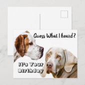 Verjaardagswensen voor honden briefkaart (Voorkant / Achterkant)