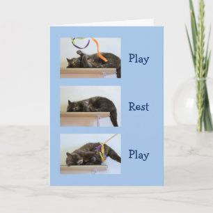 Verjaardagswensen voor kattenmensen kaart