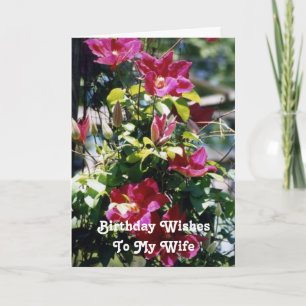 Verjaardagswensen, Vrouw,  Clematis bloeit. Kaart