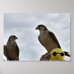 Verkeerde Plaats Verkeerde Tijd Poster