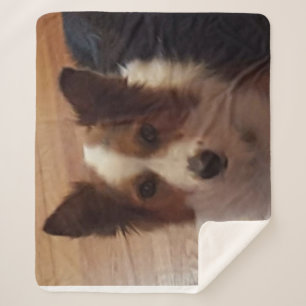 Verkeersdag Sherpa Deken