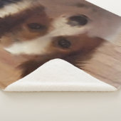 Verkeersdag Sherpa Deken (3/4)