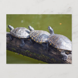 Verkeersjam Briefkaart