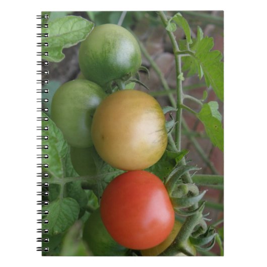 Verkeerslicht Tomaten Notitieboek (Voorkant)