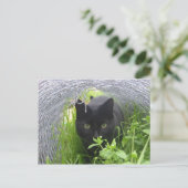 Verkennen Briefkaart (Staand voorkant)