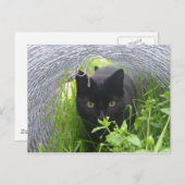 Verkennen Briefkaart (Voorkant / Achterkant)