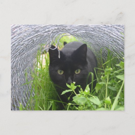 Verkennen Briefkaart (Voorkant)