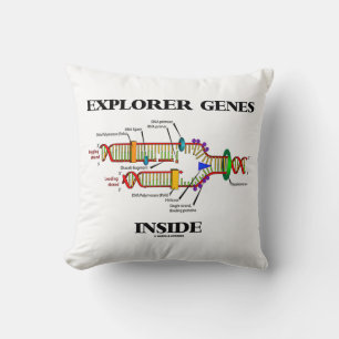 Verkennende genen in DNA-replicatie Kussen