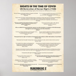 Verklaring van de VN over de mensenrechten 1948 -  Poster