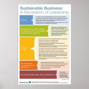 Verklaring van leiderschap poster