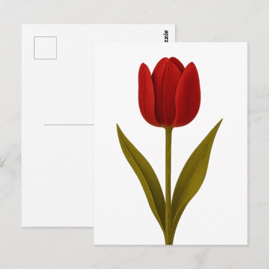 Verklaring van liefde briefkaart (Voorkant / Achterkant)