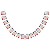 Verklaring van Onafhankelijkheid Tekst Amerikaanse Vlaggetjes (Alle)