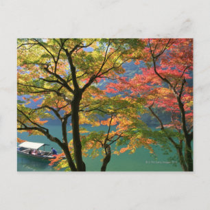 Verkleurde bladeren briefkaart