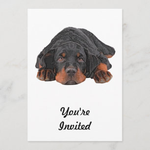 Verkleurde potlood Draaiende rottweiler papaveroge Kaart