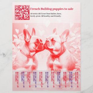 Verkoop Flyer Franse Puppy's