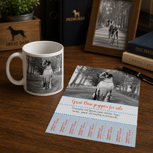 Verkoop Puppies Flyer #nestorbw