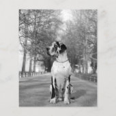 Verkoop Puppy Flyer (Achterkant)