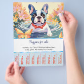 Verkoop Puppy Flyer (Hand)