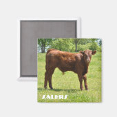 Verkopers kuitmagneet magneet (Voorkant / Achterkant)