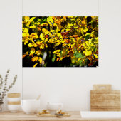 Verlaat in de Herfst Poster (Keuken)