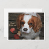 Verlaat me niet Verlass Mich nicht Briefkaart (Voorkant / Achterkant)