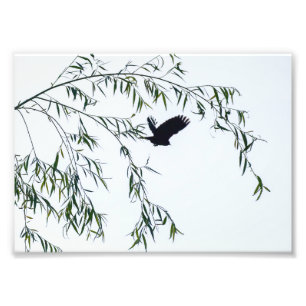 Verlaat niet foto afdruk