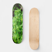 Verlaat skateboard (Voorkant)