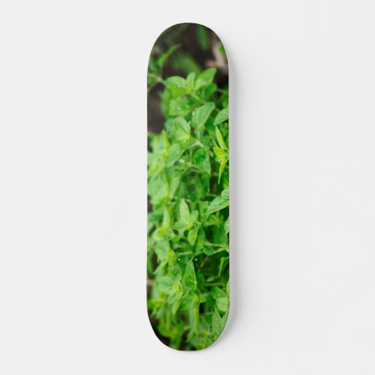 Verlaat skateboard (Voorkant)