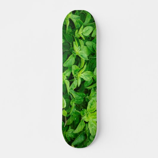 Verlaat Skateboard 2 (Voorkant)
