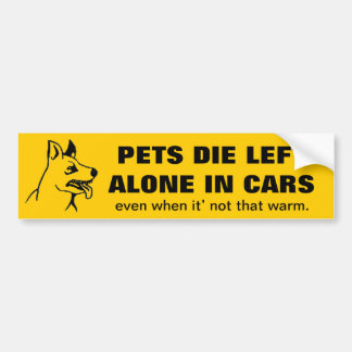 VERLAAT UW PETS ALLEEN IN EEN AUTO BUMPERSTICKER